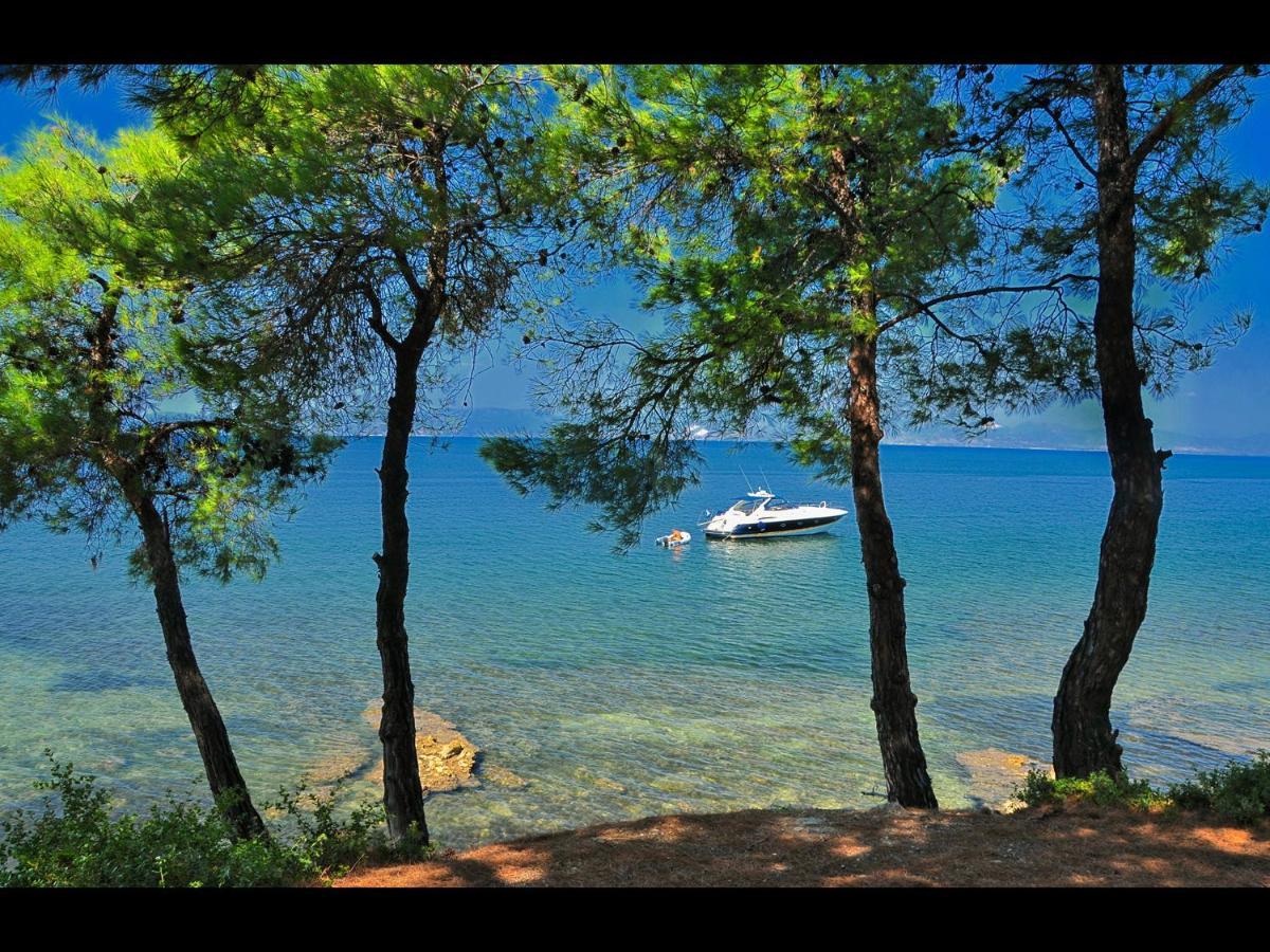 Villa Rania Skala Rachoni  Buitenkant foto